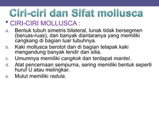 * CIRI-CIRI MOLLUSCA :
a. Bentuk tubuh simetris bilateral, lunak tidak bersegmen
(beruas-ruas), dan banyak diantaranya yang memiliki
cangkang di bagian luar tubuhnya.
b. Kaki mollusca berotot dan di bagian telapak kaki
mengandung banyak lendir dan silia.
c. Umumnya memiliki cangkok dan terdapat mantel.
d. Alat pencernaan sempurna, sering memiliki bentuk seperti
huruf U atau melingkar.
e. Mulut memiliki radula.
 