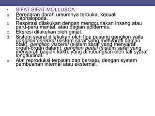 • SIFAT-SIFAT MOLLUSCA :
a. Peredaran darah umumnya terbuka, kecuali
Cephalopoda.
b. Respirasi dilakukan dengan menggunakan insang atau
paru-paru mantel, atau bagian epidermis.
c. Eksresi dilakukan oleh ginjal.
d. Sistem syaraf dilakukan oleh tiga pasang ganglion yaitu
ganglion cerebral (sistem saraf yang menyarafi bagian
otak), ganglion visceral (sistem saraf yang menyarafi
organ-organ dalam), ganglion pedal (sistem saraf yang
menyarafi bagian kaki), yang dihubungkan oleh tali syaraf
longitudinal.
e. Alat reproduksi terpisah dan bersatu, dengan system
pembuahan internal atau eksternal.
 