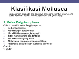 Berdasarkan atas ada dan tidaknya cangkang, bentuk tubuh, serta
posisi kaki dari hewan tersebut (struktur alat geraknya) :
1. Kelas Polyplacophora
Ciri-ciri dan sifat Kelas Polyplacophora:
1. Berbentuk lonjong
2. Memiliki pipih dorsoventral
3. Memiliki 8 keping cangkang pipih
4. Tidak memiliki mata dan tentakel
5. Memiliki radula yang besar
6. Alat eksresi berupa sepasang nefridium
7. Alat indera berupa organ subradula aesthetes
Contoh:
1. Chiton
 