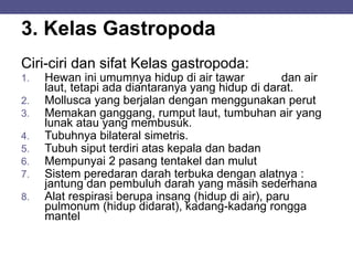 3. Kelas Gastropoda
Ciri-ciri dan sifat Kelas gastropoda:
1. Hewan ini umumnya hidup di air tawar dan air
laut, tetapi ada diantaranya yang hidup di darat.
2. Mollusca yang berjalan dengan menggunakan perut
3. Memakan ganggang, rumput laut, tumbuhan air yang
lunak atau yang membusuk.
4. Tubuhnya bilateral simetris.
5. Tubuh siput terdiri atas kepala dan badan
6. Mempunyai 2 pasang tentakel dan mulut
7. Sistem peredaran darah terbuka dengan alatnya :
jantung dan pembuluh darah yang masih sederhana
8. Alat respirasi berupa insang (hidup di air), paru
pulmonum (hidup didarat), kadang-kadang rongga
mantel
 