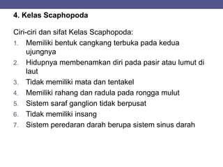 4. Kelas Scaphopoda
Ciri-ciri dan sifat Kelas Scaphopoda:
1. Memiliki bentuk cangkang terbuka pada kedua
ujungnya
2. Hidupnya membenamkan diri pada pasir atau lumut di
laut
3. Tidak memiliki mata dan tentakel
4. Memiliki rahang dan radula pada rongga mulut
5. Sistem saraf ganglion tidak berpusat
6. Tidak memiliki insang
7. Sistem peredaran darah berupa sistem sinus darah
 