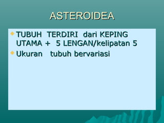 ASTEROIDEAASTEROIDEA
 TUBUH TERDIRI dari KEPINGTUBUH TERDIRI dari KEPING
UTAMA + 5 LENGAN/kelipatan 5UTAMA + 5 LENGAN/kelipatan 5
 Ukuran tubuh bervariasiUkuran tubuh bervariasi
 