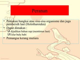 Peranan
• Pemakan bangkai atau sisa-sisa organisme dan juga
pembersih laut (Holothuroidea)
• Dapat dimakan :
 dijadikan bahan sup (mentimun laut)
 Telur bulu babi

• Pemangsa kerang mutiara

 