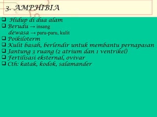 3. AMPHIBIA
 Hidup di dua alam
 Berudu → insang
dewasa → paru-paru, kulit
 Poikiloterm
 Kulit basah, berlendir untuk membantu pernapasan
 Jantung 3 ruang (2 atrium dan 1 ventrikel)
 Fertilisasi eksternal, ovivar
 Cth: katak, kodok, salamander

 