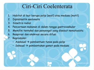 Ciri-Ciri Coelenterata
1.
2.
3.
4.
5.
6.
7.

Habitat di laut berupa polip (sesil) atau medusa (motil)
Diploblastik aselomata
Simetris radial
Pencernaan makanan di dalam rongga gastrovaskular
Memiliki tentakel dan penyengat yang disebut nematosista
Respirasi dan ekskresi secara difusi
Reproduksi:
– Aseksual  pembentuan tunas pada polip
– Seksual  pembentukan gamet pada medusa

 