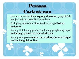Peranan
Coelenterata
• Hewan ubur-ubur dibuat tepung ubur-ubur yang diolah
menjadi bahan kosmetik / kecantikan.
• Di Jepang, ubur-ubur dimanfaatkan sebagai bahan
makanan.
• Karang atol, karang pantai, dan karang penghalang dapat
melindungi pantai dari abrasi air laut.
• Karang merupakan tempat persembunyian dan tempat
perkembangbiakan ikan.

 