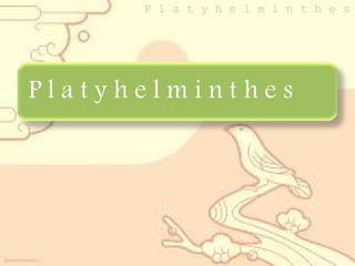 P l a t y h e l m i n t h e s

 