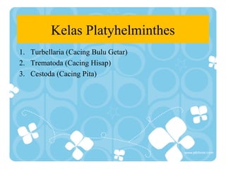 Kelas Platyhelminthes
1. Turbellaria (Cacing Bulu Getar)
2. Trematoda (Cacing Hisap)
3. Cestoda (Cacing Pita)

 