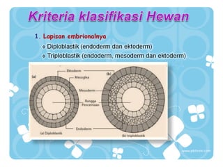 Tahun 2008 Sugeng_biologilover.wordpress.com. Silahkan gunakan slide ini untuk kemajuan bersama. Dilarang keras untuk dikomersilkan dengan alasan apapun

 