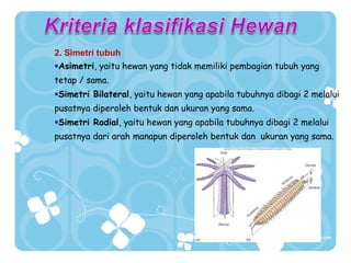 2. Simetri tubuh
•Asimetri, yaitu hewan yang tidak memiliki pembagian tubuh yang
tetap / sama.
•Simetri Bilateral, yaitu hewan yang apabila tubuhnya dibagi 2 melalui
pusatnya diperoleh bentuk dan ukuran yang sama.
•Simetri Radial, yaitu hewan yang apabila tubuhnya dibagi 2 melalui
pusatnya dari arah manapun diperoleh bentuk dan ukuran yang sama.

Tahun 2008 Sugeng_biologilover.wordpress.com. Silahkan gunakan slide ini untuk kemajuan bersama. Dilarang keras untuk dikomersilkan dengan alasan apapun

 