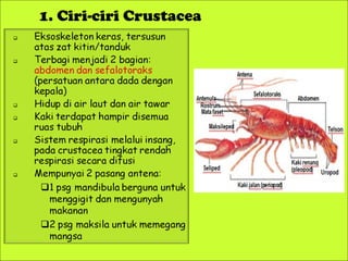 1. Ciri-ciri Crustacea

Ciri-Ciri

 