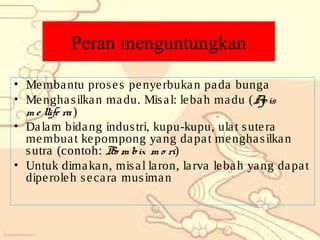 Peran menguntungkan
• Me mba ntu pros e s pe nye rbuka n pa da bunga
• Me ngha s ilka n ma du. Mis a l: le ba h ma du (A is
p
m e llife ra )
• Da la m bida ng indus tri, kupu-kupu, ula t s ute ra
me mbua t ke pompong ya ng da pa t me ngha s ilka n
s utra (contoh: Bo m bix m o ri)
• Untuk dima ka n, mis a l la ron, la rva le ba h ya ng da pa t
dipe role h s e ca ra mus ima n

 