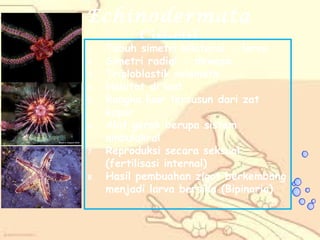 Echinodermata
Ciri-ciri

1.
2.
3.
4.
5.
6.
7.
8.

Tubuh simetri bilateral → larva
Simetri radial → dewasa
Triploblastik selomata
Habitat di laut
Rangka luar tersusun dari zat
kapur
Alat gerak berupa sistem
ambulakral
Reproduksi secara seksual
(fertilisasi internal)
Hasil pembuahan zigot berkembang
menjadi larva bersilia (Bipinaria)

 