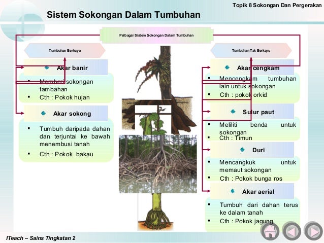 Bab 8 Sains Tingkatan 2