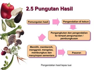 2.5 Pungutan Hasil Pemungutan hasil Pengendalian di kebun Pengangkutan dan pengendalian ke tempat pengumpulan / pembungkusan Memilih, membersih, menggred, mengelas,  membungkus dan menyimpan sementara Pengendalian hasil lepas tuai Pasaran 