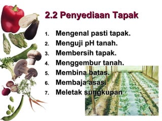 2.2 Penyediaan Tapak Mengenal pasti tapak. Menguji pH tanah. Membersih tapak. Menggembur tanah. Membina batas. Membaja asas. Meletak sungkupan 