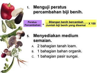 Menguji peratus percambahan biji benih. Menyediakan medium semaian. 2 bahagian tanah loam. 1 bahagian bahan organik. 1 bahagian pasir sungai. Bilangan benih bercambah  . Jumlah biji benih yang disemai X 100 Peratus  Percambahan = 