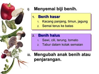 Menyemai biji benih. Benih kasar   Kacang panjang, timun, jagung Semai terus ke batas Benih halus   Sawi, cili, terung, tomato Tabur dalam kotak semaian Mengubah anak benih atau penjarangan. 