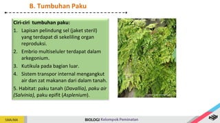 Ciri-ciri tumbuhan paku:
1. Lapisan pelindung sel (jaket steril)
yang terdapat di sekeliling organ
reproduksi.
2. Embrio multiseluler terdapat dalam
arkegonium.
3. Kutikula pada bagian luar.
4. Sistem transpor internal mengangkut
air dan zat makanan dari dalam tanah.
5. Habitat: paku tanah (Davallia), paku air
(Salvinia), paku epifit (Asplenium).
B. Tumbuhan Paku
Sumber: www.id.wikipedia.org
 