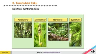 Psilotophyta Lycophyta
Sphenophyta Pterophyta
Klasifikasi Tumbuhan Paku
B. Tumbuhan Paku
 