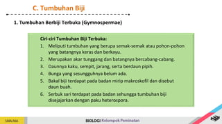 Ciri-ciri Tumbuhan Biji Terbuka:
1. Meliputi tumbuhan yang berupa semak-semak atau pohon-pohon
yang batangnya keras dan berkayu.
2. Merupakan akar tunggang dan batangnya bercabang-cabang.
3. Daunnya kaku, sempit, jarang, serta berdaun pipih.
4. Bunga yang sesungguhnya belum ada.
5. Bakal biji terdapat pada badan mirip makroskofil dan disebut
daun buah.
6. Serbuk sari terdapat pada badan sehungga tumbuhan biji
disejajarkan dengan paku heterospora.
1. Tumbuhan Berbiji Terbuka (Gymnospermae)
C. Tumbuhan Biji
 