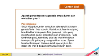Contoh Soal
Apakah perbedaan metagenesis antara lumut dan
tumbuhan paku?
Penyelesaian:
Siklus hidup lumut dan tumbuhan paku terdiri atas fase
gametofit dan fase sporofit. Pada lumut, fase lumut yang
bisa kita lihat merupakan fase gametofit, yaitu yang
menghasilkan gamet anteridium dan arkegonium. Pada
tumbuhan paku, fase yang bisa kita lihat merupakan
fase sporofit, yaitu yang menghasilkan spora. Spora
tersebut tersimpan di dalam kotak sporangium dan
dapat kita lihat di bagian permukaan bawah daun.
 