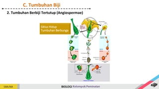 Siklus Hidup
Tumbuhan Berbunga
2. Tumbuhan Berbiji Tertutup (Angiospermae)
C. Tumbuhan Biji
 