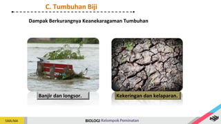 Dampak Berkurangnya Keanekaragaman Tumbuhan
C. Tumbuhan Biji
Banjir dan longsor. Kekeringan dan kelaparan.
 