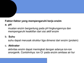 Faktor-faktor yang mempengaruhi kerja enzim
a. pH
   muatan enzim bergantung pada pH lingkungannya dan
   mempengaruhi keaktifan dari sisi aktif enzim

b. Suhu
   suhu dapat merusak struktur tiga dimensi dari enzim (protein)

c. Aktivator
   aktivitas enzim dapat meningkat dengan adanya ion-ion
   anorganik. Contohnhya: ion Cl- pada enzim amilase air liur
 