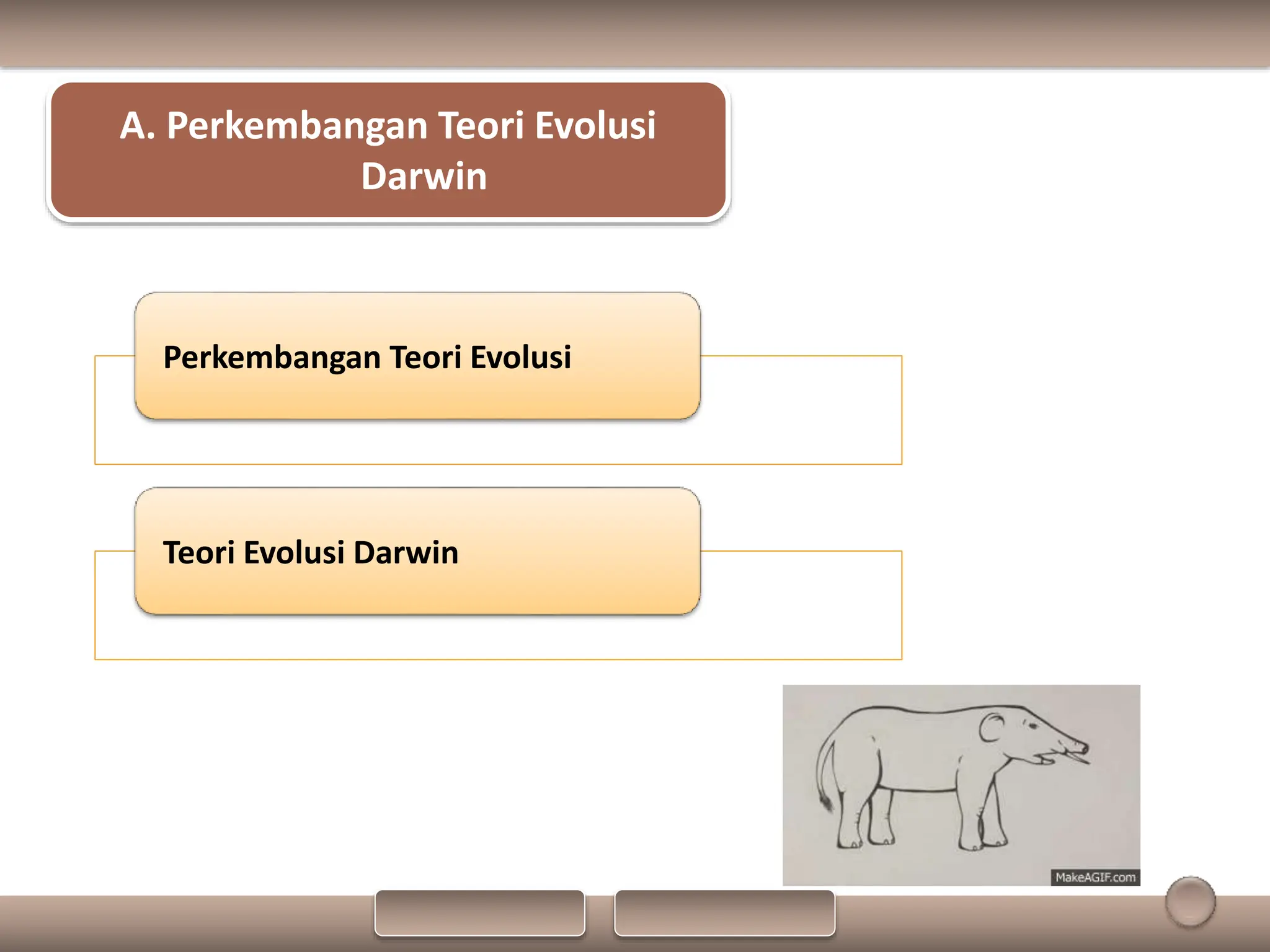 PPT Biologi Materi Evolusi kelas XII SMA | PPTX