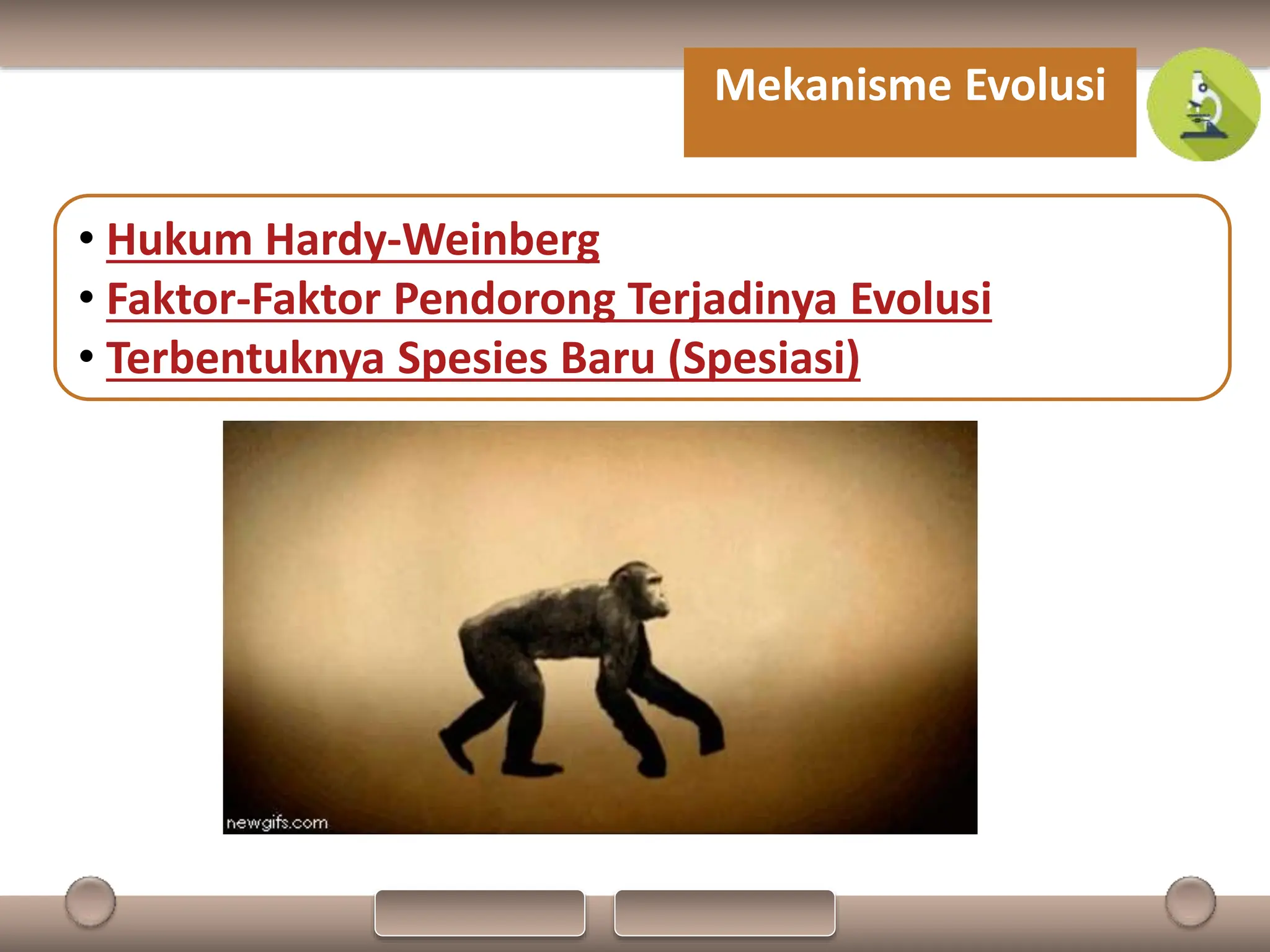 PPT Biologi Materi Evolusi kelas XII SMA | PPTX
