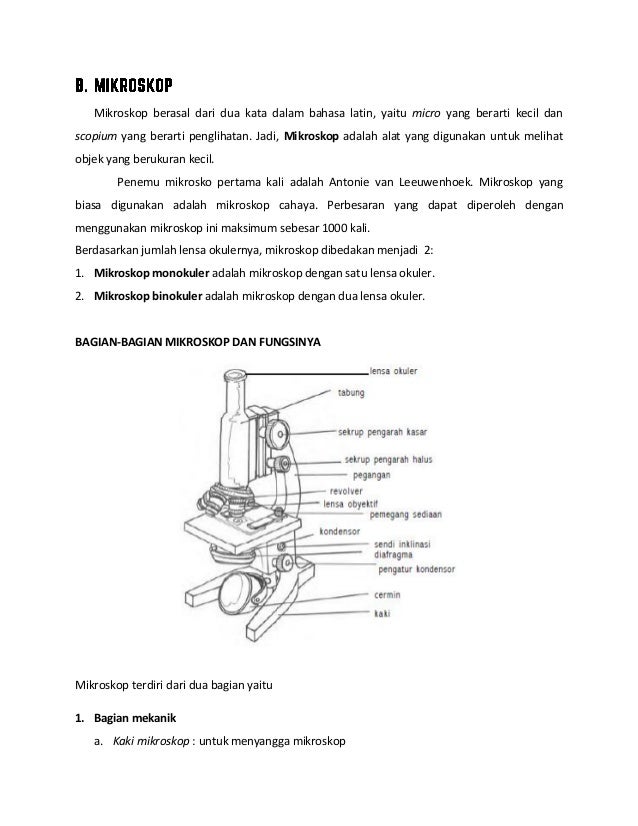 Jelaskan MacamMacam Objek Yang Dipelajari Dalam Ipa Safekey Jelaskan MacamMacam Objek Yang Dipelajari Dalam Ipa Safekey