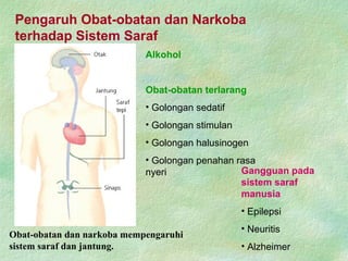 Pengaruh Obat-obatan dan Narkoba
terhadap Sistem Saraf
Obat-obatan dan narkoba mempengaruhi
sistem saraf dan jantung.
Alkohol
Obat-obatan terlarang
• Golongan sedatif
• Golongan stimulan
• Golongan halusinogen
• Golongan penahan rasa
nyeri Gangguan pada
sistem saraf
manusia
• Epilepsi
• Neuritis
• Alzheimer
 