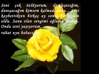 Seni çok özlüyorum, dertleşeceğim, danışacağım kimsem kalmadı baba... Seni kaybettikten birkaç ay sonra bir oğlum oldu. Sana olan sevgimi oğluma verdim. Onda seni yaşıyorum,  rahat uyu babacığım! 