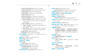 Baba Malay Dictionary