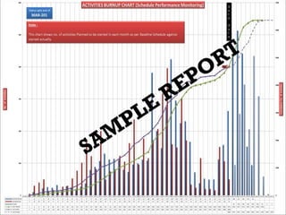 Muhammad Zaheer ud Din Babar Visual Resume (Project Controls)