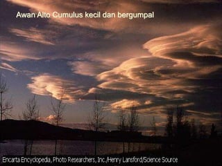 Awan Alto Cumulus kecil dan bergumpal
 