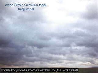 Awan Strato Cumulus
Awan Strato Cumulus tebal,
bergumpal
 