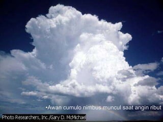 •Awan cumulo nimbus muncul saat angin ribut
 