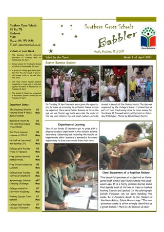 Southern Cross Schools
PO Box 116
                                                                                Southern Cross Schools
Hoedspruit
1380
Phone: 015 793 0590
E-mail: raptor@scschools.co.za
A Peek at Last Week …                                                                    Weekly Newsletter 13 of 2011
• The Gauteng Shuttle delivered
  boarders at 4-Ways Mall on             School for the Planet                                                           Week 3 of April 2011
  Wednesday 20 April.

• School closed for the Easter Break
                                         Easter Bunnies Galore!
  at 12h00 on Wednesday 20 April.

• A group of College girls have quali-
  fied for the 2nd round of provin-
  cial hockey trials to be held later
  this term.

• Our Prep School netball players
  completed a tough set of matches
  against Rooiskool in Phalaborwa on
  Tuesday 19 April.

• The Grade 11 Committee organized
  a successful Easter civvies day on
  Tuesday 19 April.


Important Dates:                         On Tuesday 19 April learners were given the opportu-     around in search of the illusive treats. The day was
                                         nity to dress up according to an Easter theme. As can    organized by the College’s Grade 11 Committee as
The Gauteng Shuttle            02        be expected, there were Easter Bunnies as far as the     part of their fundraising drive to raise money for
returns from 4-Ways            May       eye can see. Easter egg hunts were also the order of     the Grade 12 Farewell which will be held on Satur-
Mall at 10h00.                           the day and children big and small rushed excitedly      day 15 October. Photos by Ms Kathleen Painter.

Boarders return to             02
the boarding lodges            May                   Experimental Learning
from 15h00.
                                         Two of our Grade 10 learners get to grips with a
2nd Term lessons               03        physical science experiment in the school’s science
resume at 07h15.               May       laboratory. Observing and recording the results of
                                         experiments offer learners a wonderful firsthand
Netball vs Laerskool           03        opportunity to draw conclusions from their data.
Mariepskop. (H)                May

College girls’ hockey          03
trials in Tzaneen.             May

Prep School district           04
netball trials.                May

Prep School netball vs         05
Lulekani.                      May

College boys’ hockey           05                                                                  Close Encounters of a Reptilian Nature
vs PHS at Stanford.            May
                                                                                                 This beautiful specimen of a Spotted or Varie-
Mpumalanga Schools’            6&7                                                               gated Bush Snake was found outside the Lead-
Climbing Challenge.            May                                                               wood Lapa. It is a fairly common diurnal snake
College netball vs             07
                                                                                                 that spends most of its time in trees or bushes
Northern Academy.              May                                                               hunting lizards and geckos. In the photograph
                                                                                                 Ceilidh Ferguson can be seen handling the
Protrac Soccer Tour-           07                                                                snake. In A Complete Guide to the Snakes of
nament.                        May                                                               Southern Africa, Johan Marais says: “This non
College boys’ hockey           07                                                                -poisonous snake is often wrongly identified as
vs Louis Trichardt.            May                                                               a green mamba.” Photo by Mr Donovan de Boer.
 
