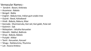 Vernacular Names:- 
• Sanskrit : Bavari, Kinkirata 
• Assamese : Babala 
• Bengali : Babla 
• English : Babula tree, Indian gum arabic tree 
• Gujrati : Baval, Kaloabaval 
• Hindi : Babula, Babura, Kikar 
• Kannada : Sharmeeruka, Kari Jail, Kari gobli, Pulai Jali 
• Kashmiri : Sak 
• Malayalam : Velutha Karuvelan 
• Marathi : Babhul, Babhula 
• Oriya : Babula, Babala 
• Punjabi : Kikkar 
• Tamil : Karuvelan, Karuvel 
• Telugu : Nallatumma, Thumma 
• Lat:- Acacia Arebica 
 