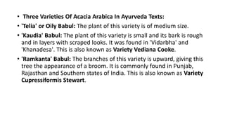 • Three Varieties Of Acacia Arabica In Ayurveda Texts: 
• 'Telia' or Oily Babul: The plant of this variety is of medium size. 
• 'Kaudia' Babul: The plant of this variety is small and its bark is rough 
and in layers with scraped looks. It was found in 'Vidarbha' and 
'Khanadesa'. This is also known as Variety Vediana Cooke. 
• 'Ramkanta' Babul: The branches of this variety is upward, giving this 
tree the appearance of a broom. It is commonly found in Punjab, 
Rajasthan and Southern states of India. This is also known as Variety 
Cupressiformis Stewart. 
 