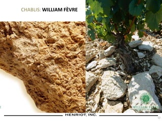 CHABLIS: WILLIAM FÈVRE
12
 