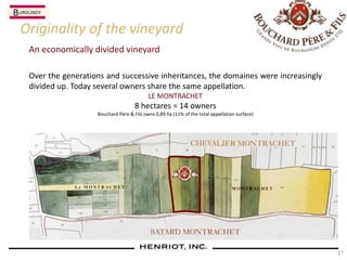 17
An economically divided vineyard
Originality of the vineyard
Over the generations and successive inheritances, the domaines were increasingly
divided up. Today several owners share the same appellation.
LE MONTRACHET
8 hectares = 14 owners
Bouchard Père & Fils owns 0,89 ha (11% of the total appellation surface)
BURGUNDY
 