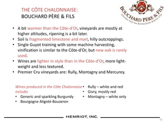 32
THE CÔTE CHALONNAISE:
BOUCHARD PÈRE & FILS
• A bit warmer than the Côte-d'Or, vineyards are mostly at
higher altitudes, ripening is a bit later.
• Soil is fragmented limestone and marl, hilly outcroppings.
• Single Guyot training with some machine harvesting,
vinification is similar to the Côte-d'Or, but new oak is rarely
used.
• Wines are lighter in style than in the Côte-d'Or, more light-
weight and less textured.
• Premier Cru vineyards are: Rully, Montagny and Mercurey.
Wines produced in the Côte Chalonnaise
include:
• Generic and sparkling Burgundy
• Bourgogne Aligoté-Bouzeron
• Rully – white and red
• Givry, mostly red
• Montagny – white only
 