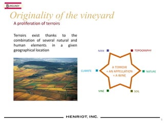 A proliferation of terroirs
Originality of the vineyard
Terroirs exist thanks to the
combination of several natural and
human elements in a given
geographical location
A TERROIR
= AN APPELLATION
= A WINE
CLIMATE
VINE SOIL
NATURE
TOPOGRAPHYMAN
BURGUNDY
5
 