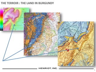 Competitive Set
THE TERROIR : THE LAND IN BURGUNDY
6
 