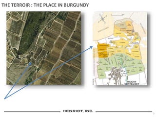 THE TERROIR : THE PLACE IN BURGUNDY
7
 