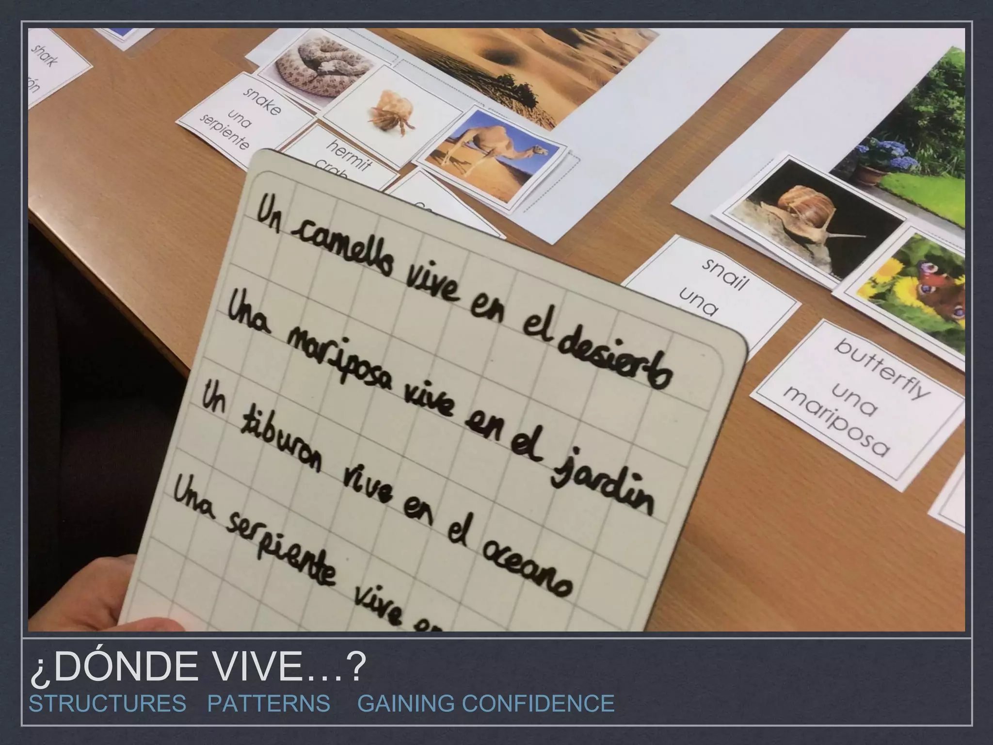 ¿DÓNDE VIVE…?
STRUCTURES PATTERNS GAINING CONFIDENCE
 