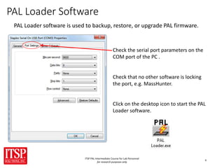 Pal Programmer ITSP PAL Training - Intermediate | PPSX